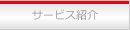 �T�[�r�X�Љ�
