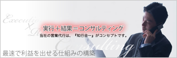 �c�Ɓ{���s���R���T���e�B���O