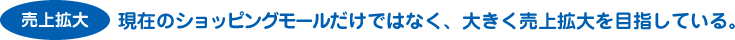 現在のショッピングモールだけではなく、大きく売上拡大を目指している。
